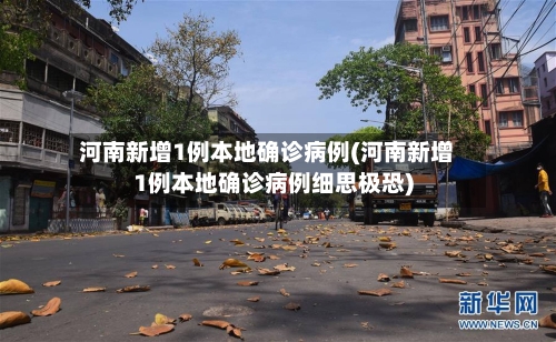 河南新增1例本地确诊病例(河南新增1例本地确诊病例细思极恐)-第3张图片