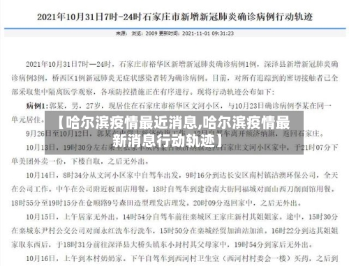 【哈尔滨疫情最近消息,哈尔滨疫情最新消息行动轨迹】-第2张图片
