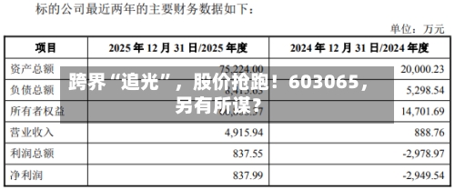 跨界“追光”，股价抢跑！603065，另有所谋？
