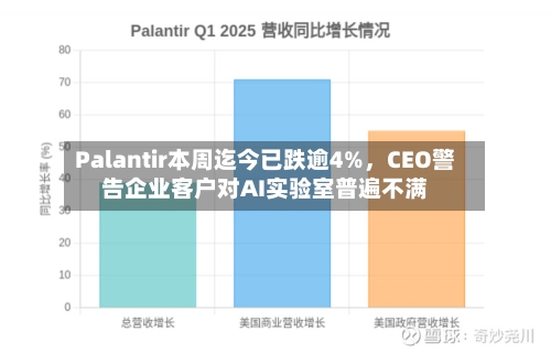 Palantir本周迄今已跌逾4%	，CEO警告企业客户对AI实验室普遍不满-第2张图片