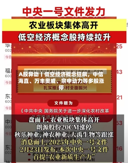 A股异动丨低空经济概念狂飙	，中信海直	、万丰奥威、宗申动力等多股涨停-第2张图片