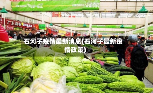 石河子疫情最新消息(石河子最新疫情政策)-第3张图片