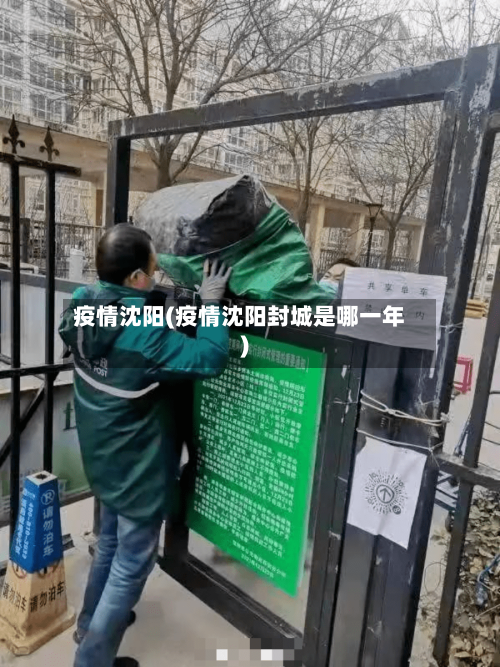 疫情沈阳(疫情沈阳封城是哪一年)-第3张图片