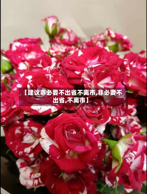 【建议非必要不出省不离市,非必要不出省,不离市】-第3张图片