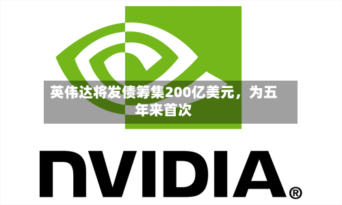 英伟达将发债筹集200亿美元，为五年来首次-第3张图片