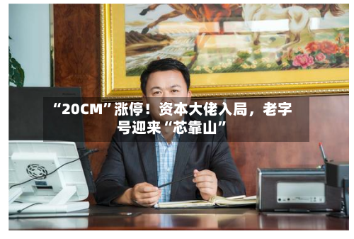 “20CM”涨停！资本大佬入局，老字号迎来“芯靠山	”-第2张图片