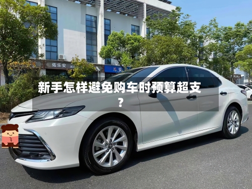 新手怎样避免购车时预算超支？-第2张图片