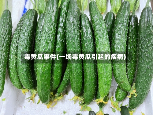 毒黄瓜事件(一场毒黄瓜引起的疾病)