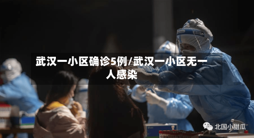 武汉一小区确诊5例/武汉一小区无一人感染