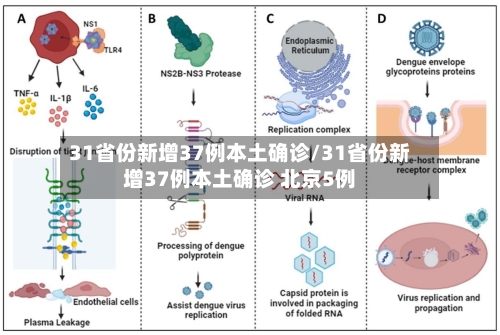 31省份新增37例本土确诊/31省份新增37例本土确诊 北京5例