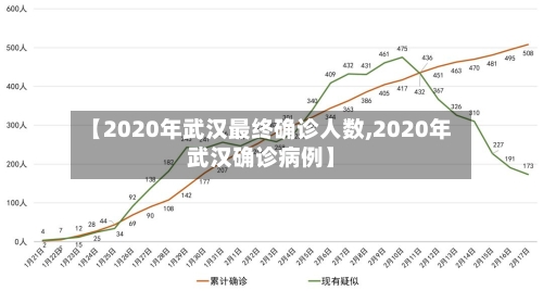 【2020年武汉最终确诊人数,2020年武汉确诊病例】