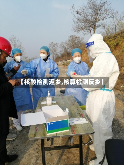 【核酸检测返乡,核算检测反乡】