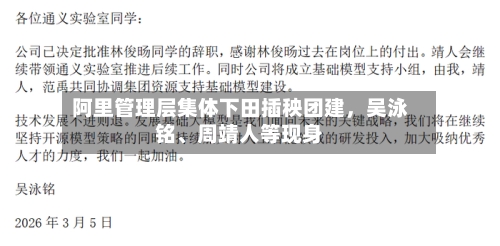 阿里管理层集体下田插秧团建	，吴泳铭、周靖人等现身-第3张图片