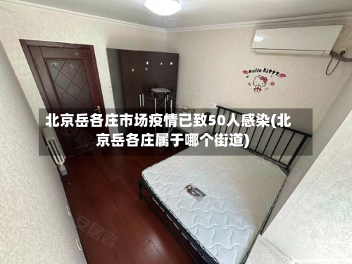 北京岳各庄市场疫情已致50人感染(北京岳各庄属于哪个街道)-第3张图片
