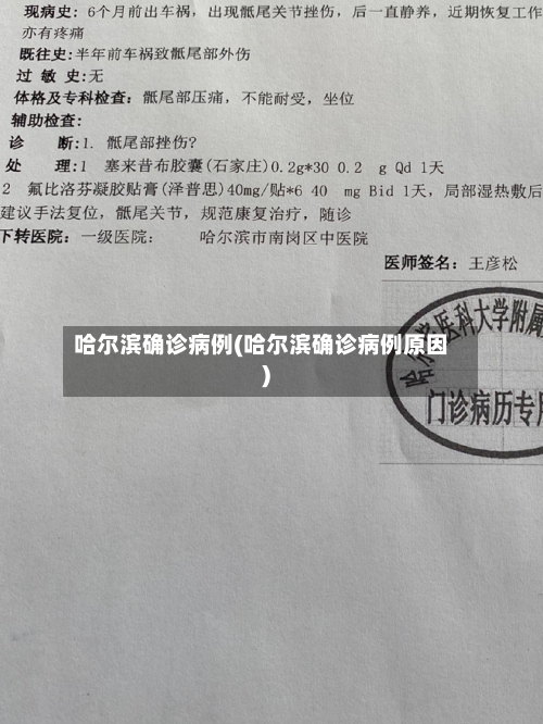 哈尔滨确诊病例(哈尔滨确诊病例原因)-第2张图片